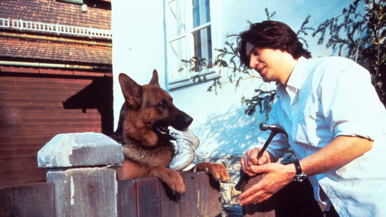 Rex, chien flic