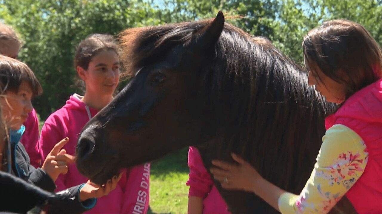 Au galop !