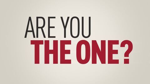 Are You the One ? A la recherche des couples parfaits - MTV