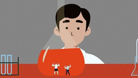 Les hormones : mythes et réalités