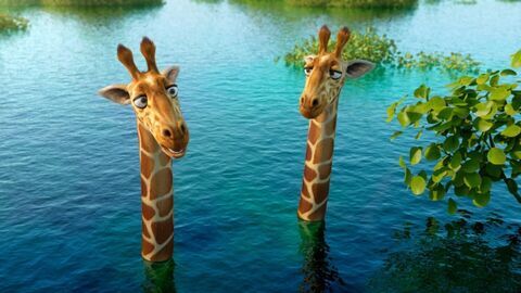Les as de la jungle à la rescousse