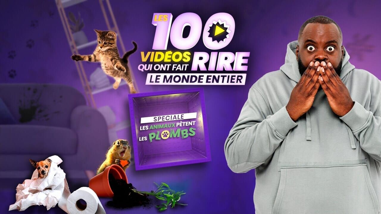 Les 100 vidéos qui ont fait rire le monde entier