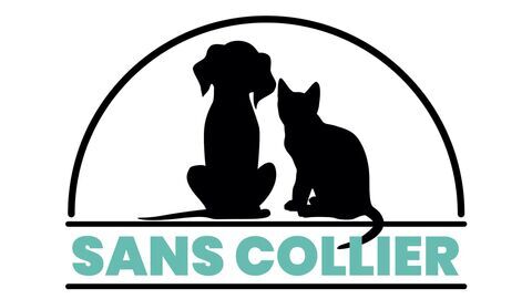 Sans collier