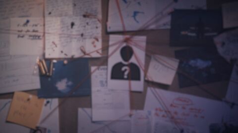 Les visages du crime en région