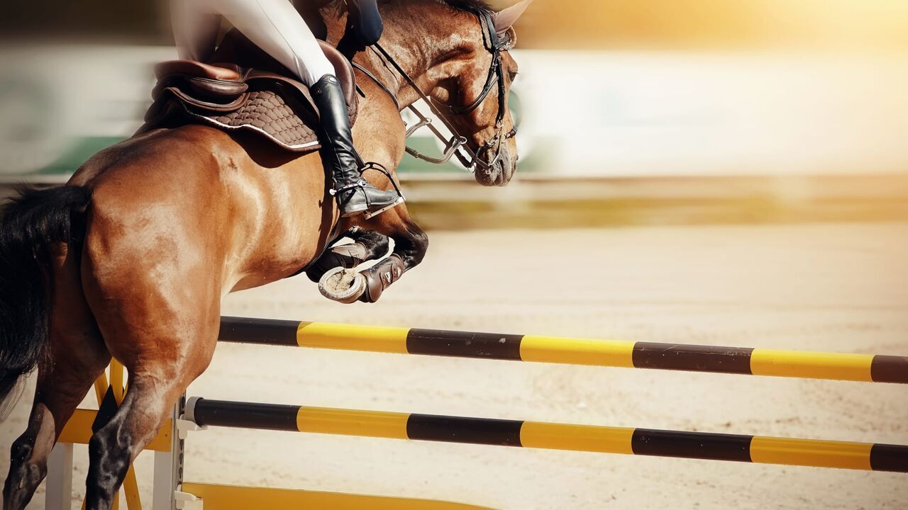 Equitation : Jumping international de Dinard