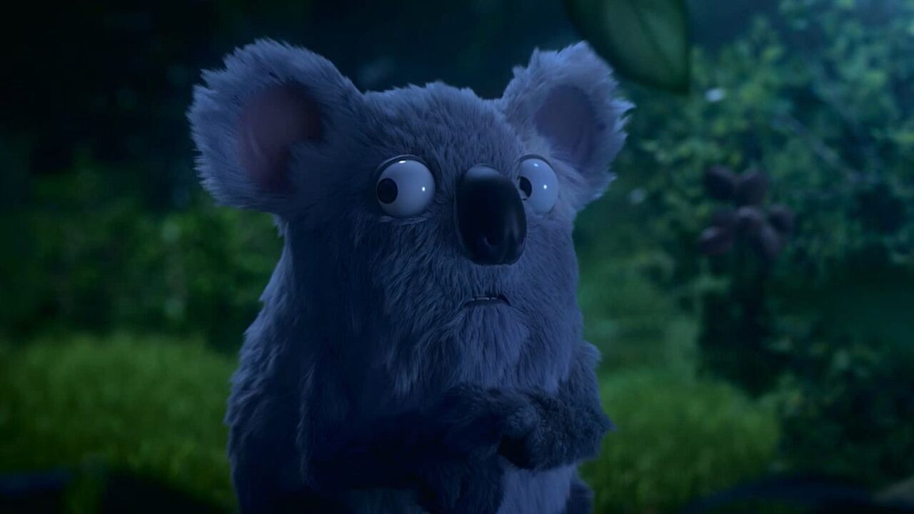 Les as de la jungle à la rescousse