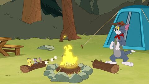 Tom et Jerry Show - Boomerang