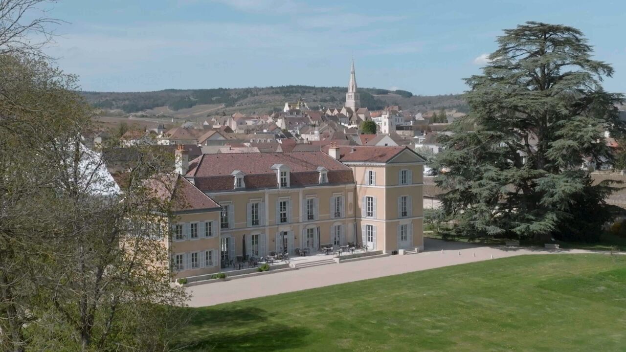 Des racines et des ailes