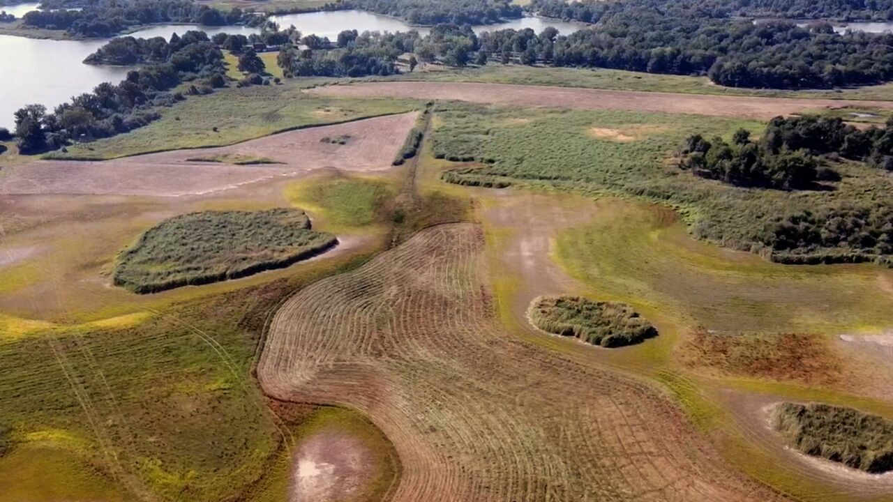 Europe sauvage, la part de l'homme