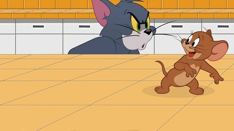 Tom et Jerry Show - Boomerang