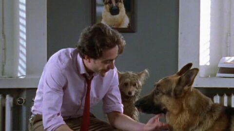 Rex, chien flic