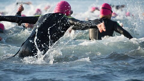 Triathlon : World Triathlon Series