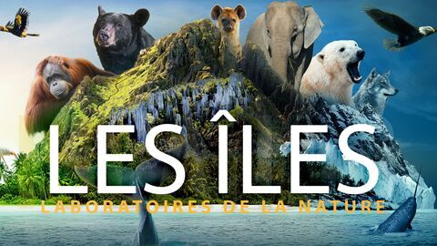 Les îles, laboratoires de la nature