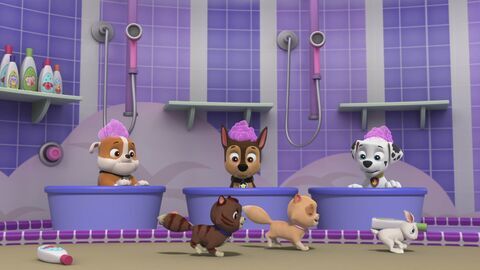 Paw Patrol, la Pat'Patrouille