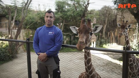 Zoos : la gestion des animaux en question - Arte