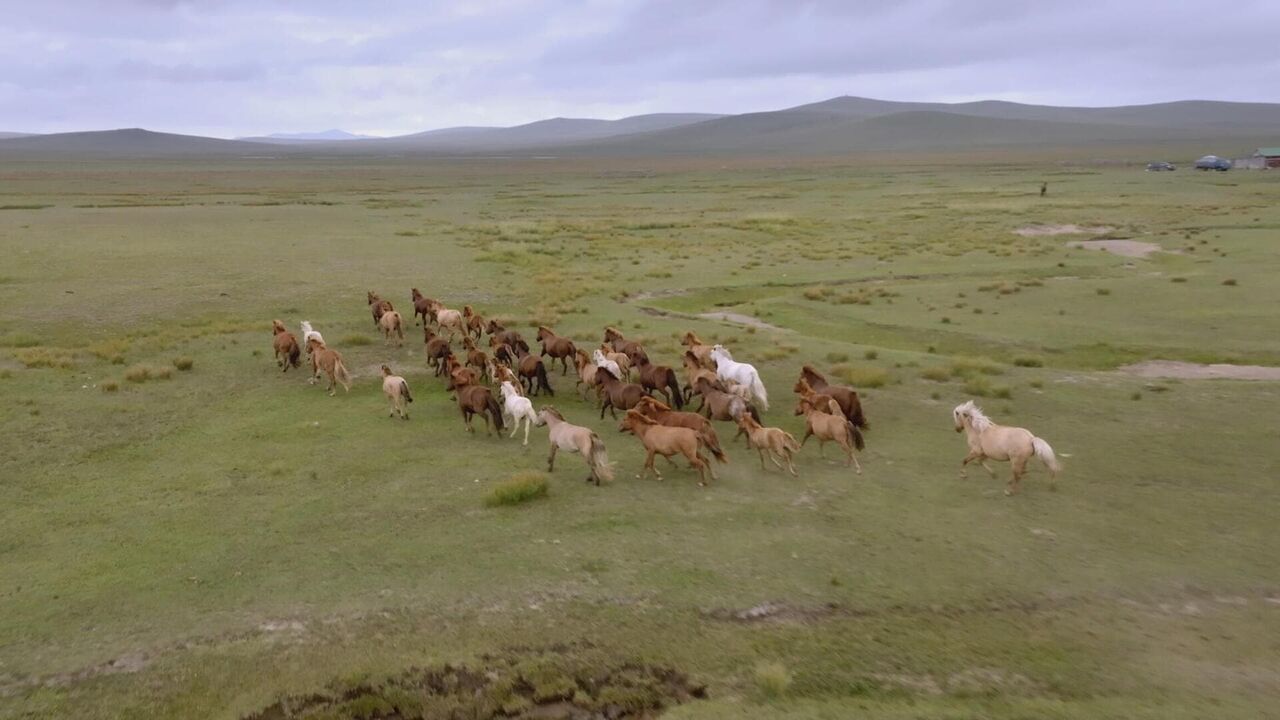 Les cités perdues de Gengis Khan - France 5