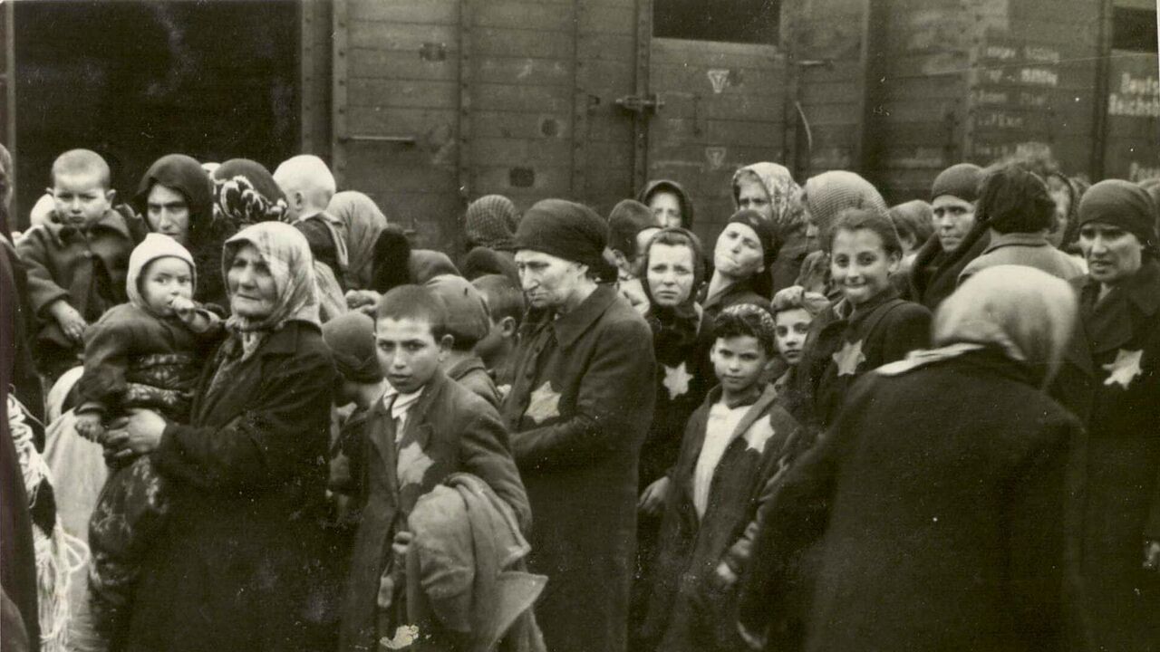 Ascension et déclin du nazisme