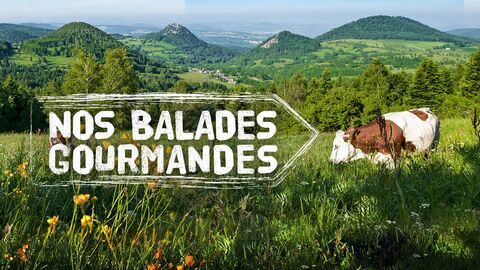 Nos balades gourmandes - France 3