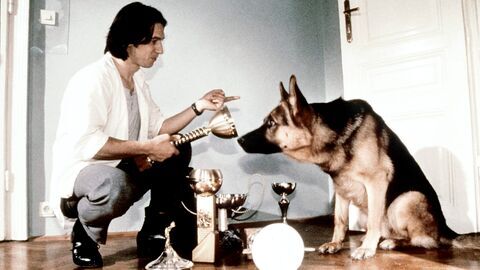 Rex, chien flic