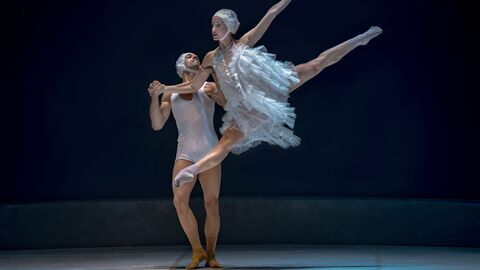 El Lago — Mezzo Live HD 17:00