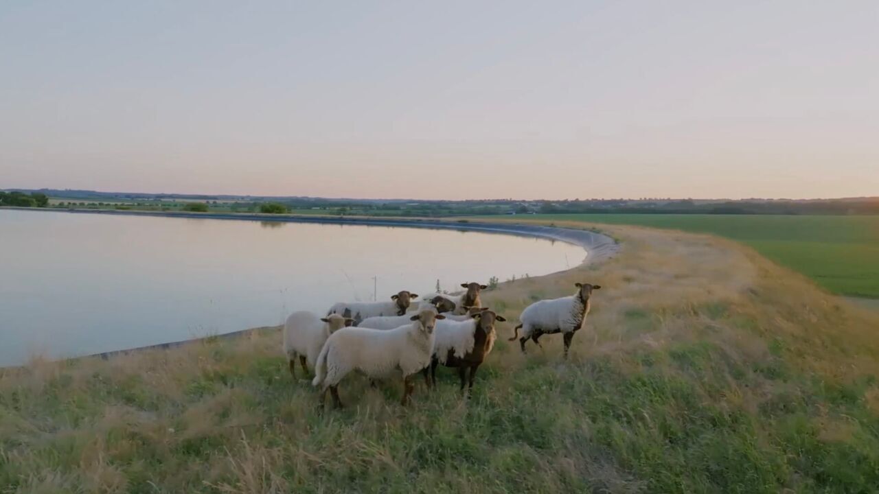 Monde agricole : la fracture de l'eau — LCP 17:00