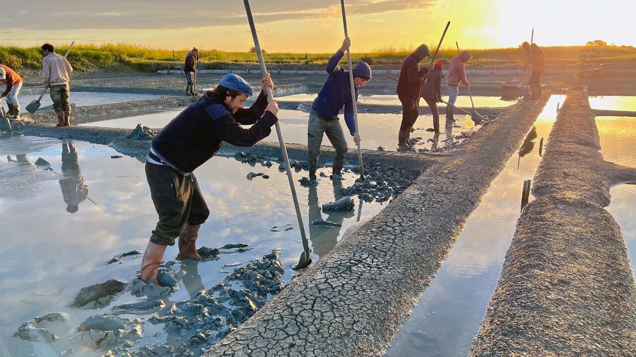 L'or blanc de Noirmoutier
