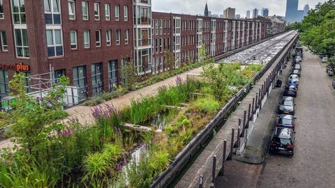 Bonnes nouvelles de la planète — Arte 12:15