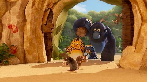 Les as de la jungle - France 4