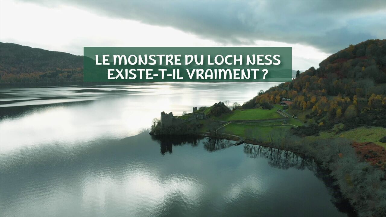 Le monstre du Loch Ness existe-t-il vraiment ?