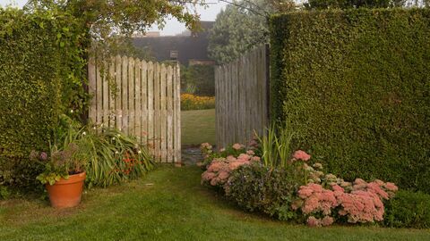 Silence, ça pousse ! — France 5 10:45