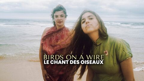 Birds on a Wire - Le Chant des oiseaux