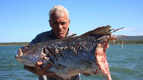 River Monsters