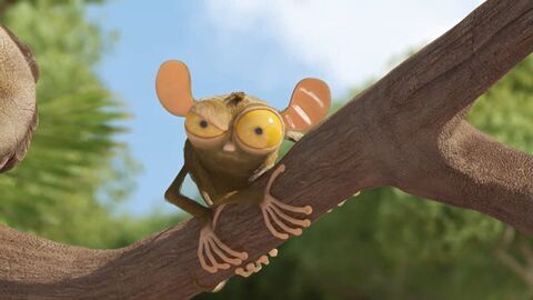 Les as de la jungle : en direct