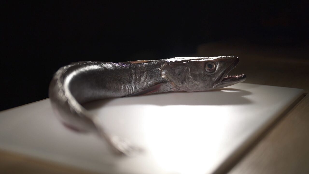 Le poisson : à consommer sans modération ? — France 5 12:40