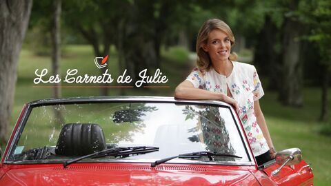 Les carnets de Julie