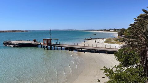 La côte ouest sauvage de l'Afrique du Sud — Arte 11:30