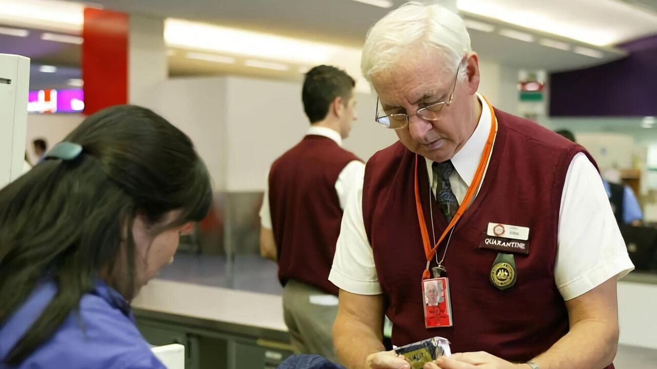 Douanes sous haute surveillance — CStar 19:01