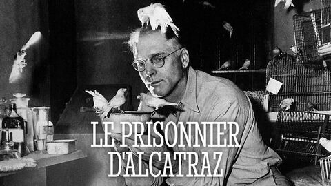Le prisonnier d'Alcatraz