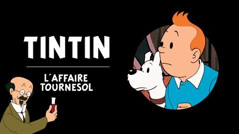 L'affaire Tournesol — Gulli 00:05