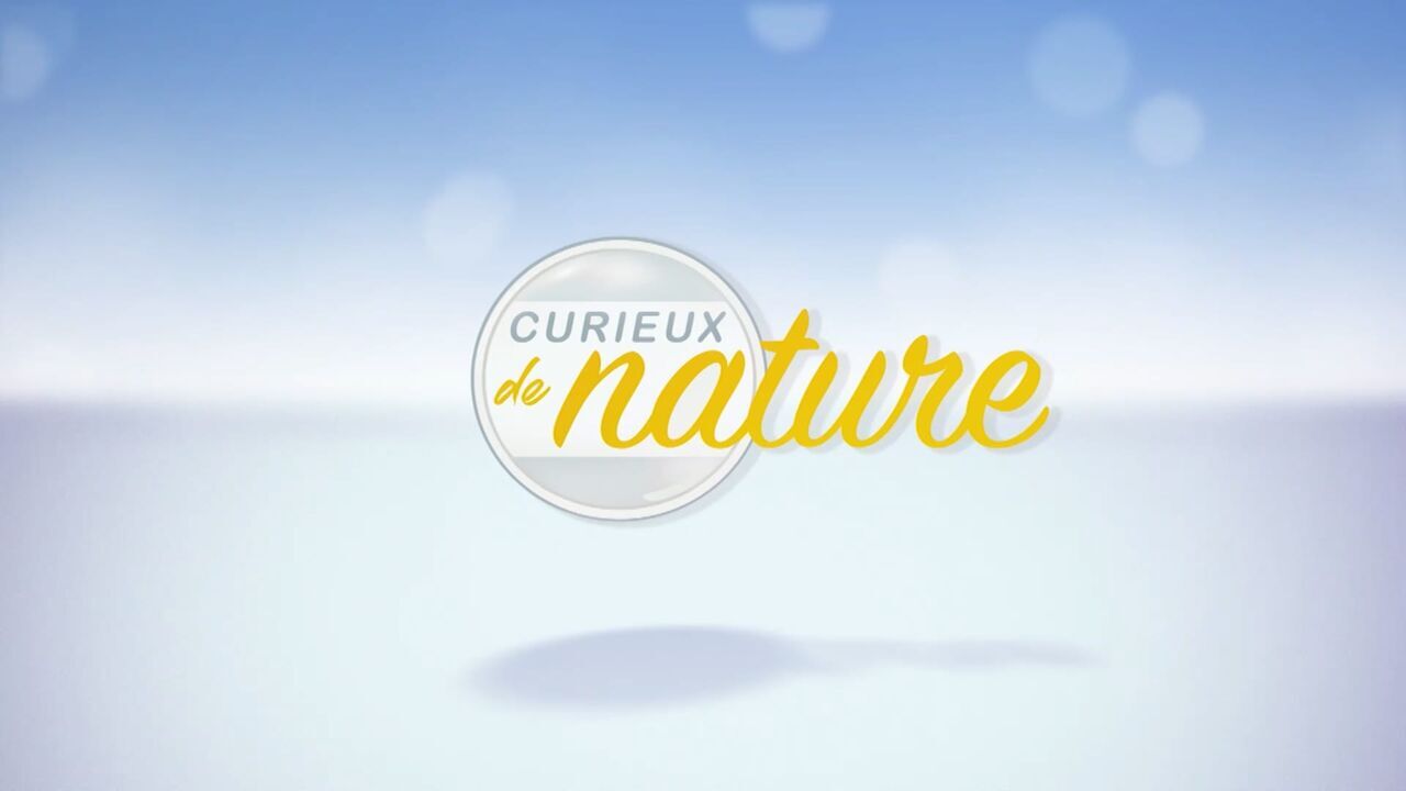 Curieux de Nature - MaTele