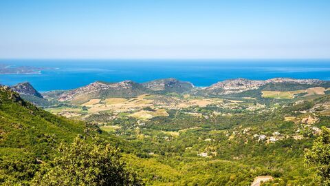 Les visages du crime en région — NOVO19 21:10