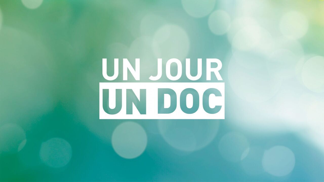 Un jour, un doc — M6 13:40